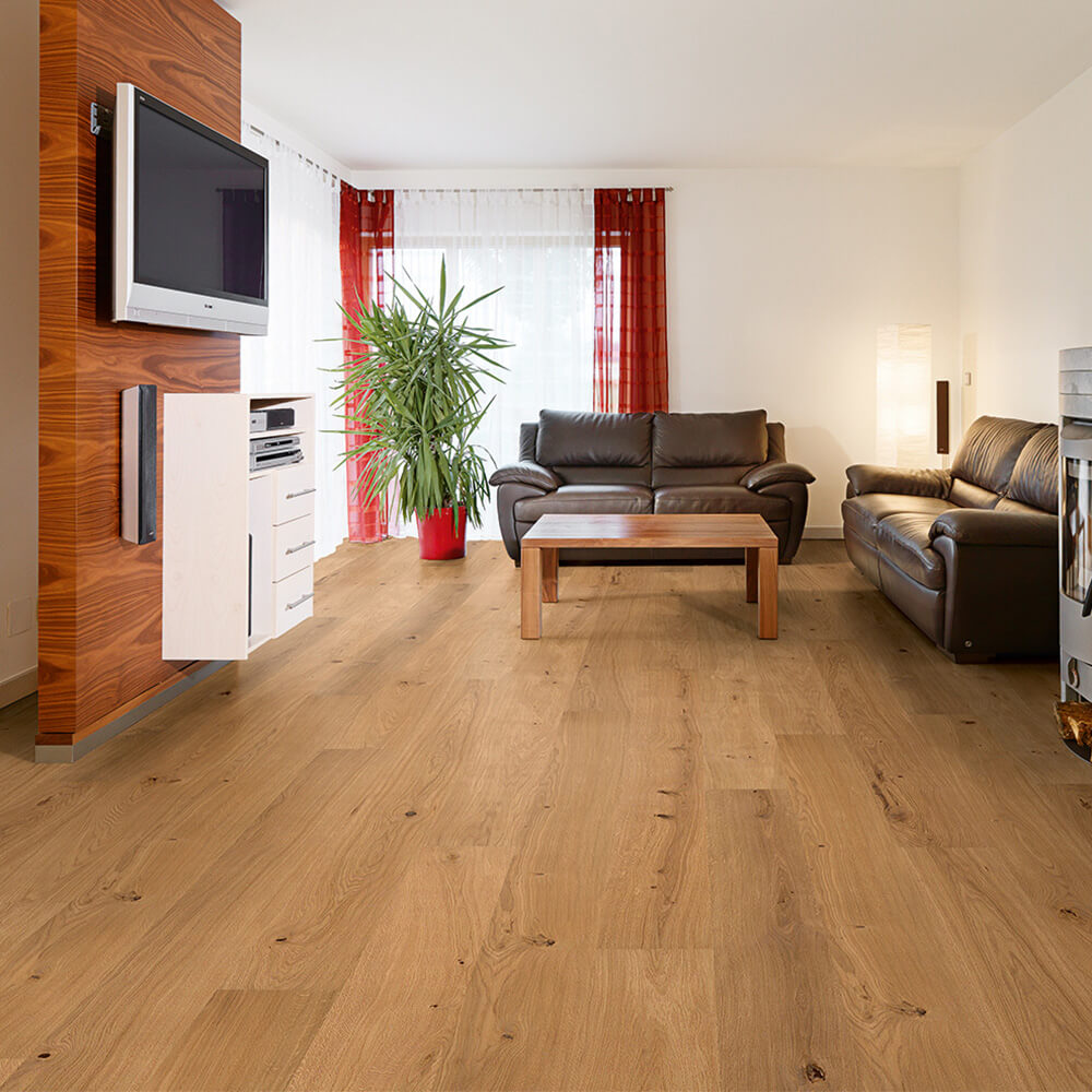 Wohnzimmer, Sofa, Holzboden, TV-Möbel, Pflanze
