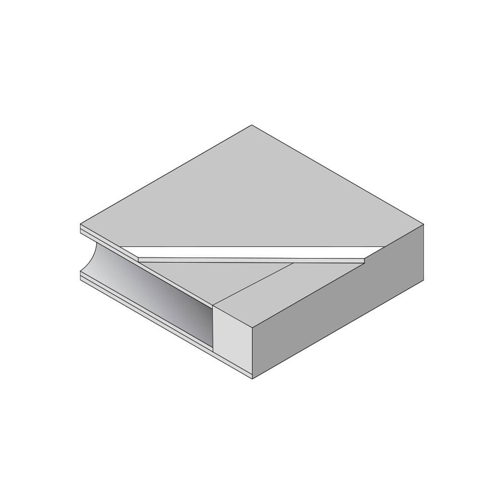 Buch, Veröffentlichung