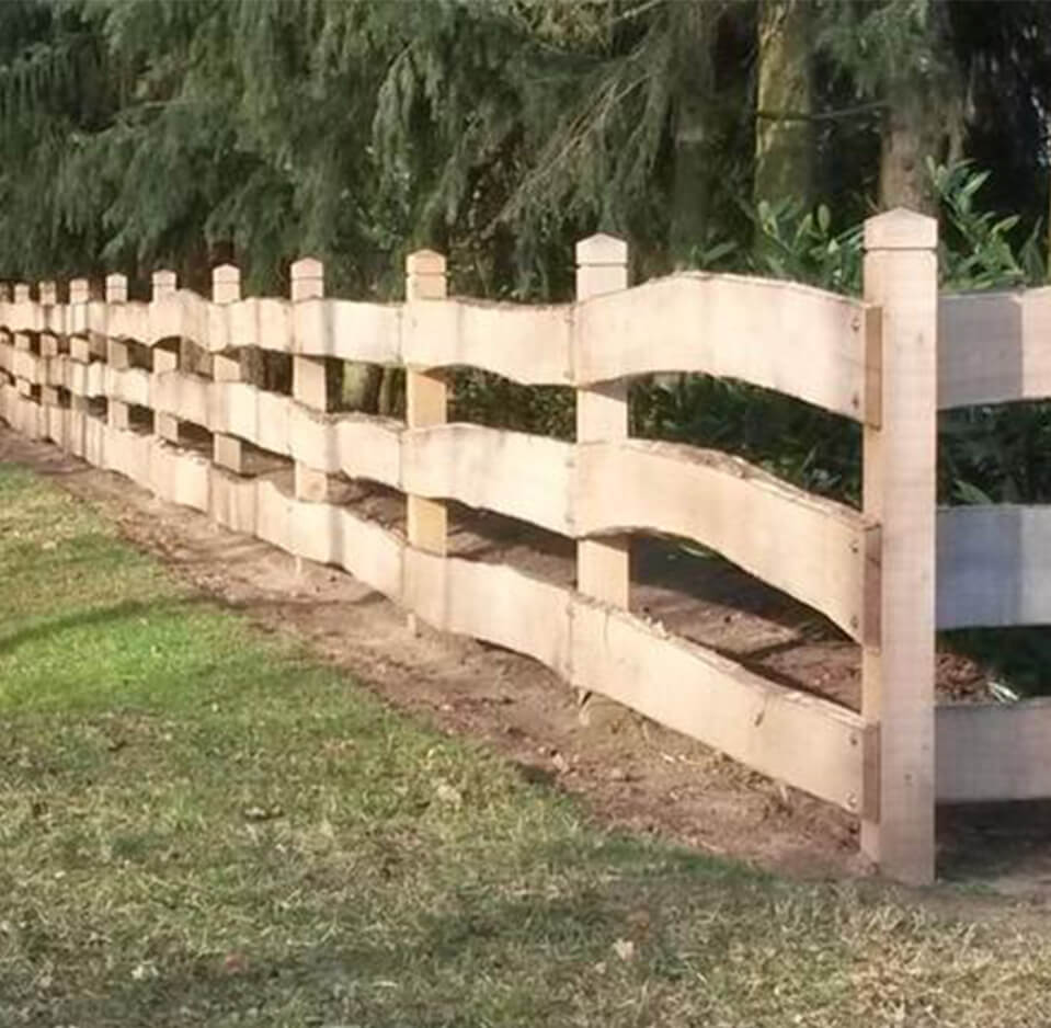 Rancherzaunbohle, Robinie