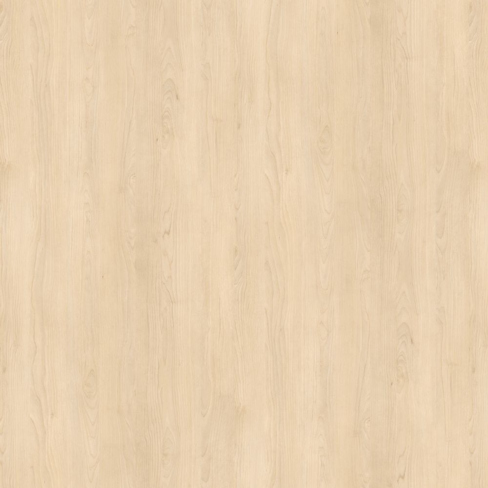 H1732 ST9 Sandbirke, Egger ABS Kante