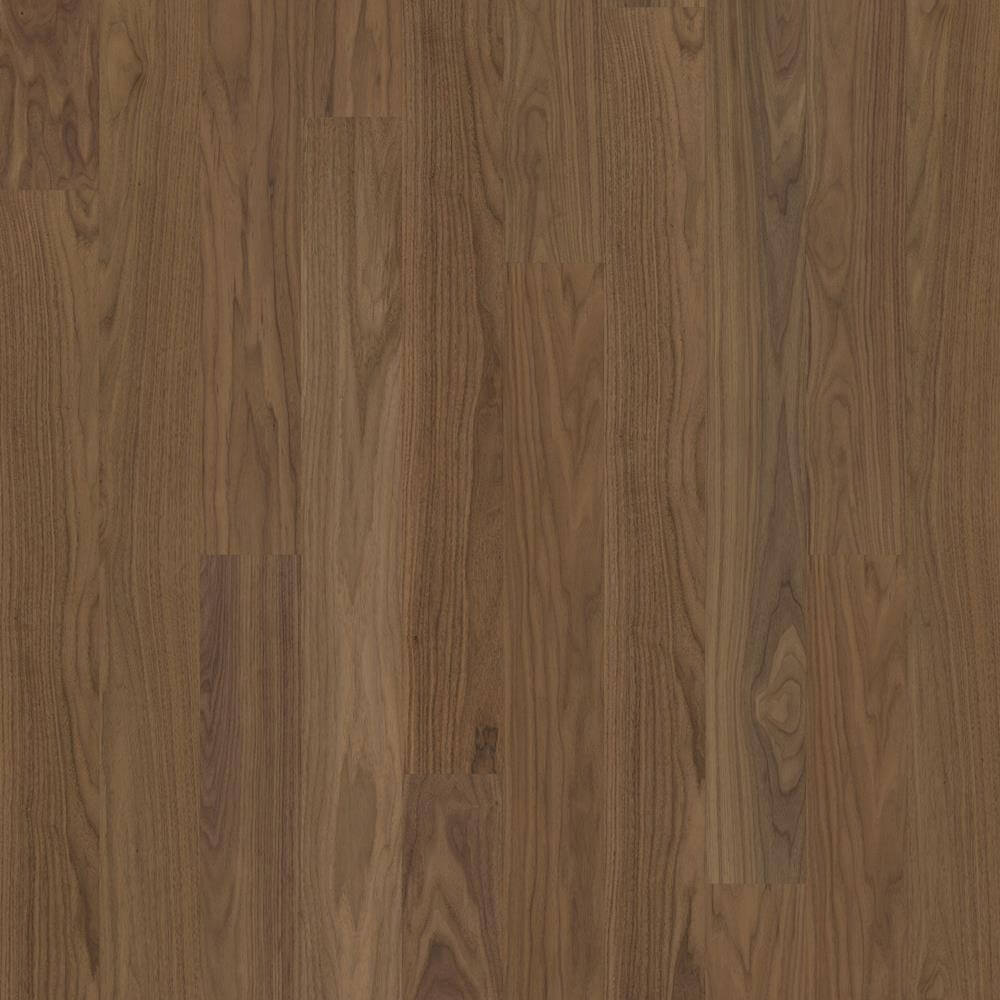 Walnuss Pure Walnut