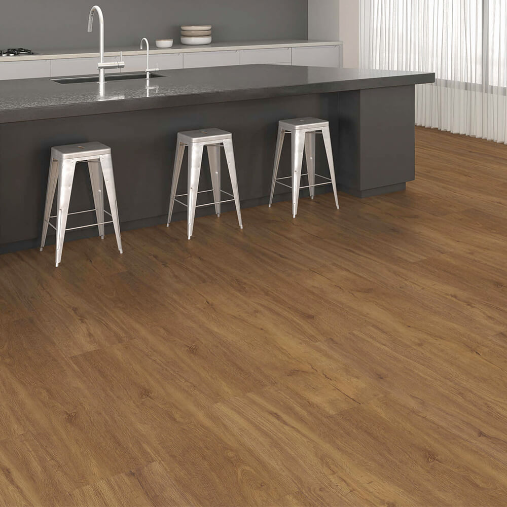 Disano Project Bergeiche