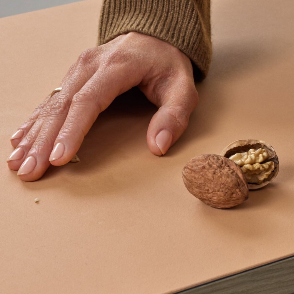 Hand, Walnuss, Walnusschale, Nüsse, Nusskerne