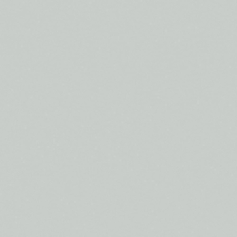 noodle?, no visible product, plain background